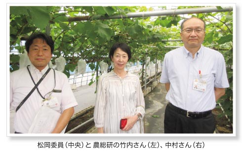 松岡委員（中央）と農総研の竹内さん（左）、中村さん（右）